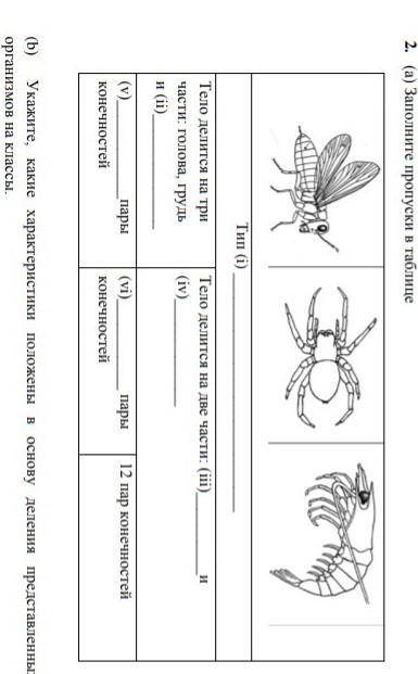 А)заполните пропуски в таблице б)укажите какие харастирики положены в основу деления представленых о