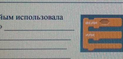 Для чего Айым использовала блок «если»​