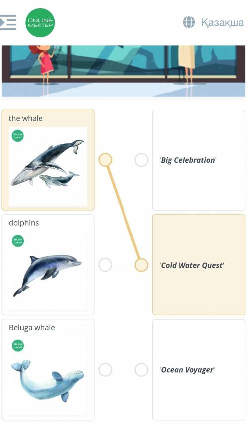 Listen to an online guide in a city aquarium and match the animal to their sections ​