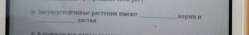 3) Засухоустойчивые растения имеют длинные корни и листья