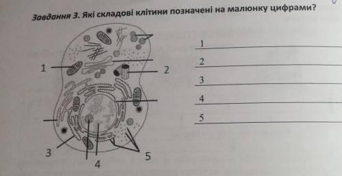 Завдання 3. Які складові клітини позначені на малюнку цифрами?12345​