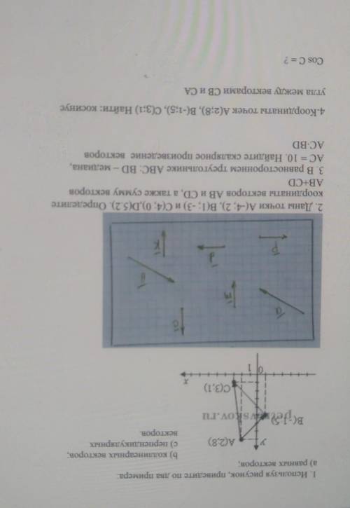 1. Используя рисунок, приведите по два примера: а) равных векторов,b) коллинеарных векторов,А(2,8) с