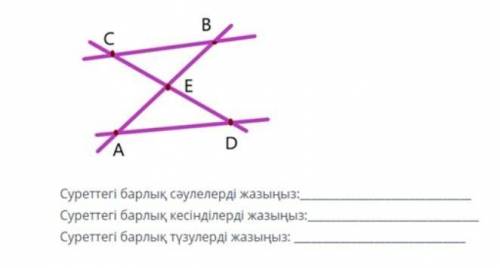 Суреттегі барлық сәулелерді жазыңыз​