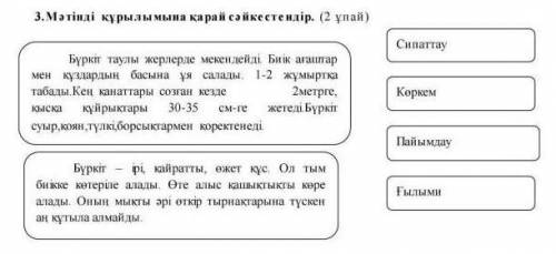 Кім біледі? Комектесиндерши ​