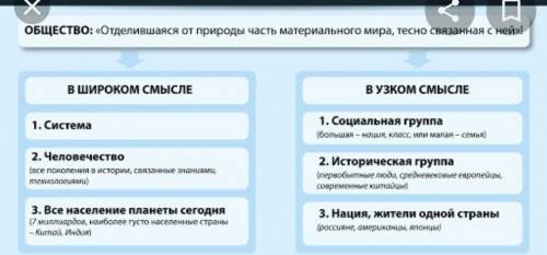 По картинке составьте Красс форд с вопросами.5,6 вопросов, больше не надо.​