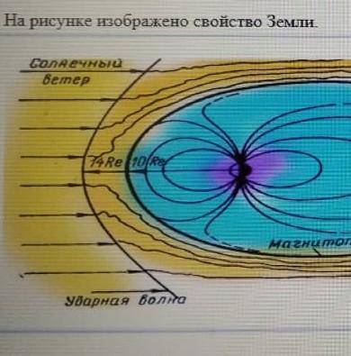 Назовите свойство? и опишите в чём важность данного свойства.​