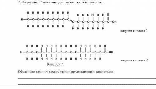 БИОЛОГИЯ 10класс Объясните разницу между этими двумя жирными кислотами.