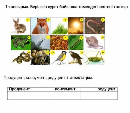 Кестені толтыр продуцент Консумент Редуцент​