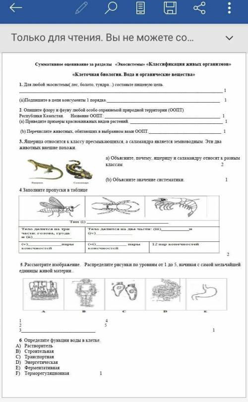 СОР по биологии за 1 четверть 7 класс ​