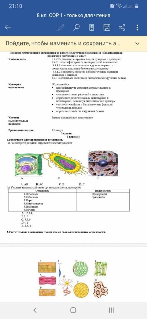 Рассмотрите рисунок определите клетки эукарпот