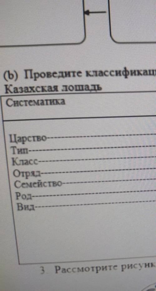 (b) Проведите классификацию животного породы Казахская лошадь систематика​