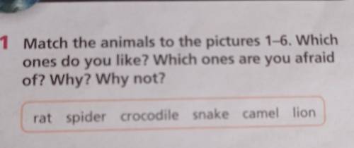 Ex:1 p. 18. Match the animals to the pictures 1-6. Which ones do you like? Which ones are you afraid