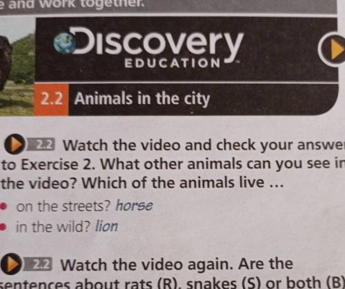 Ex:3 p.18 Watch the video. Which of the animals do you find on the streets of India?What other anima