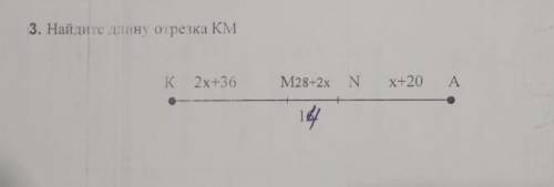 Найдите длину отрезка км k=14 к=2х+36 м=28-2х это СОР по геометрии ​