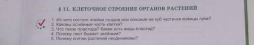 S 11. клЕточноЕ СТРОЕНИЕ ОРГАНОВ РАСТЕНИЙ 1. Из чего состоят ячейки плодов или похожие на куб частич