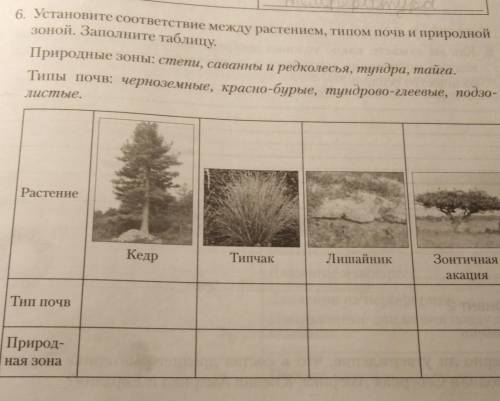 6. Установите соответствие между растением, типом почв и природной зоной. Заполните таблицу.Природны