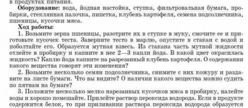 Сделайте вывод о содержании в продуктах питания органических веществ: белков, жиров, углеводов подро