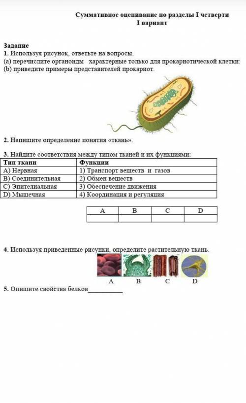 сор по биологии хоть какое-то задание​