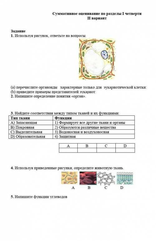 без обмана сор биологии обман будет бан​