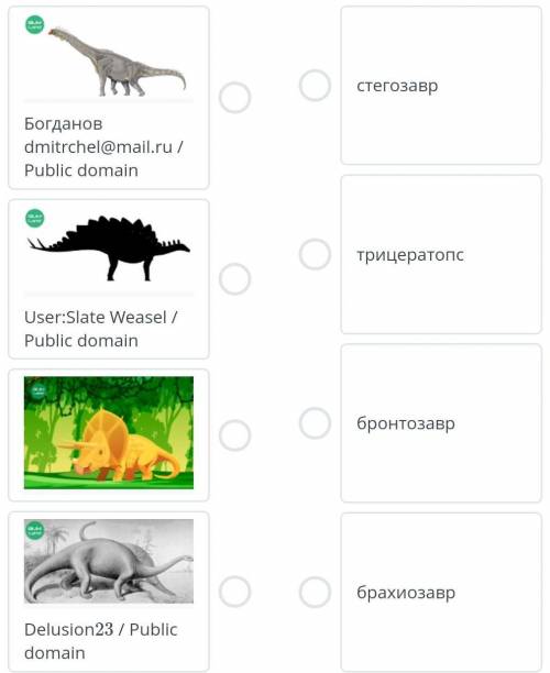 Соотнеси рептилий обитающих в мезозое.​