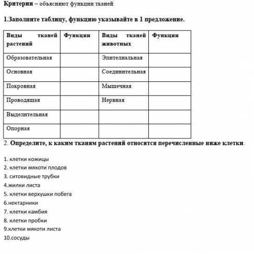 на том задании у меня ответы не высвечиваються, на этот раз еще раз ​