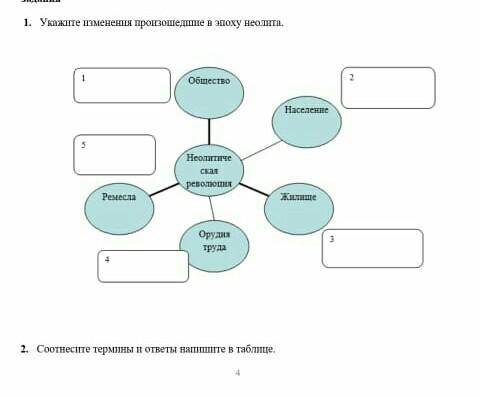 История сор отдам и подпишусь кто дал ОТВЕТ​