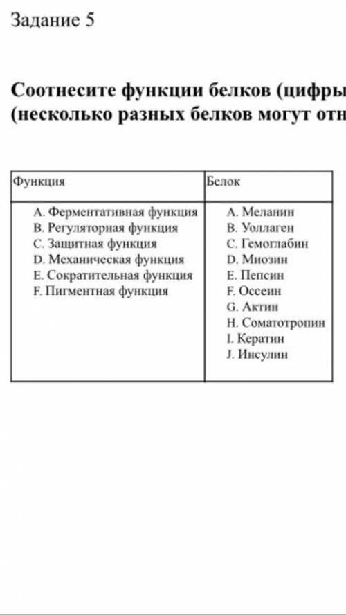 Соотнесите функции белков (цифры) и сами белки(буквы) (Несколько разных белков могут относится к одн