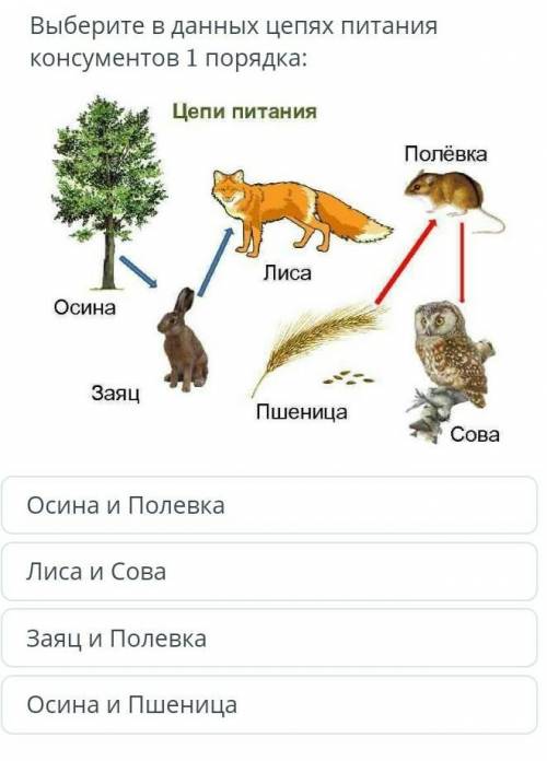 Вибери в данных цепях питание консумента 1 порядка. ​