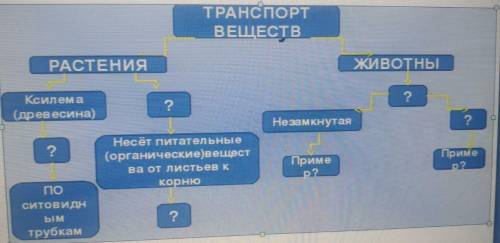 VII. Задание для учащихся – Дополните схему