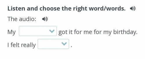 Listen and choose the right word/words.The audio:​