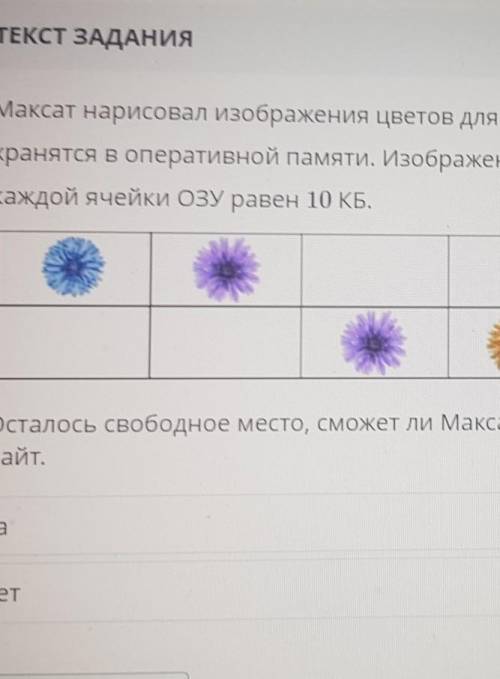 Максат нарисовал изображения цветов для реферата по биологии. Данные изображения одного цветка требу