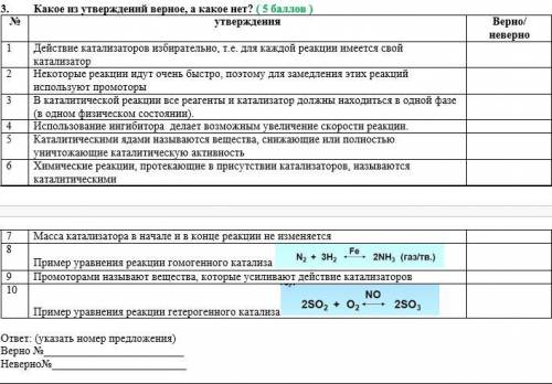 3. Какое из утверждений верное, а какое нет?