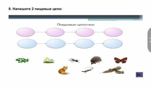 Напиши две пищивые цепи Умоляю если любите родителей добрые люди​