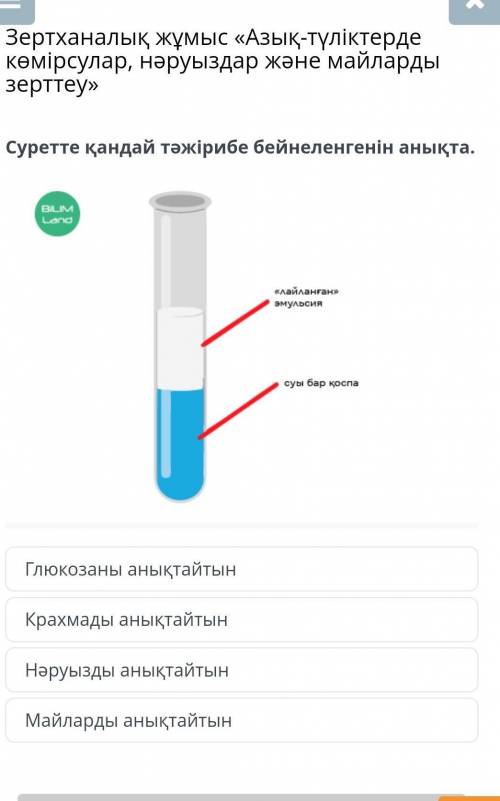 Суретте қандай тәжірибе бейнеленгенін анықта. Глюкозаны анықтайтынКрахмады анықтайтынНәруызды анықта