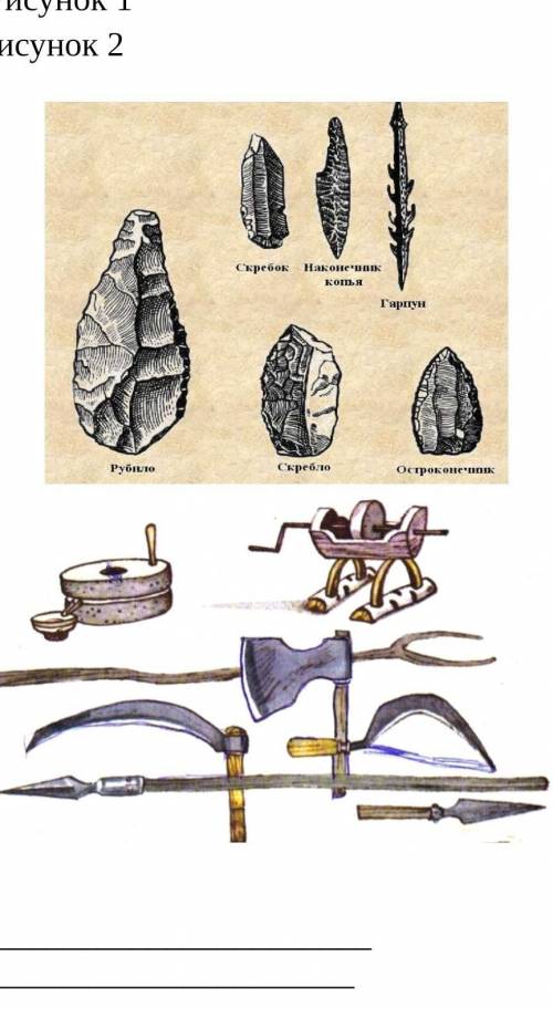 6.Рассмотрите иллюстрации и выполните задание: 1) Определите назначение орудий труда.2) Опишите разл
