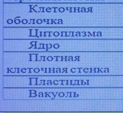 Заполните таблицу отметьте знаком + присутствие части клетки у растений и животных.​