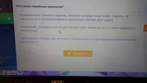 Подскажите правильный вариант ,что такое семейные ценности заранее