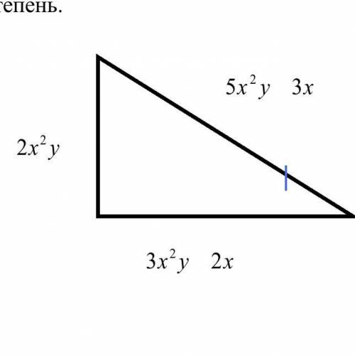 Там в пробелах между выражениями + т.е. 5x^2y+3x 3x^2y+2x