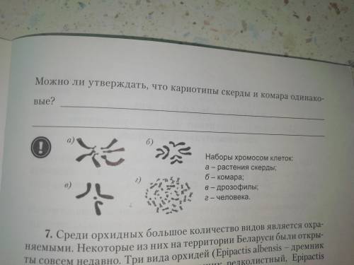 с 5 и 6 заданиями(задания будут прикреплены)