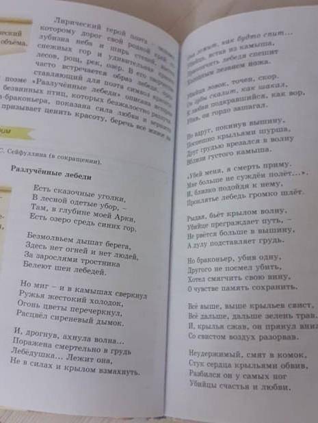 7 Найдите и запишите ключевые слова и словосочетания, характеризующиеотношения лебедя и его подруги.