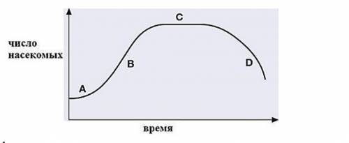 На рисунке показан график роста популяции для растительноедного насекомого укажите два фактора котор