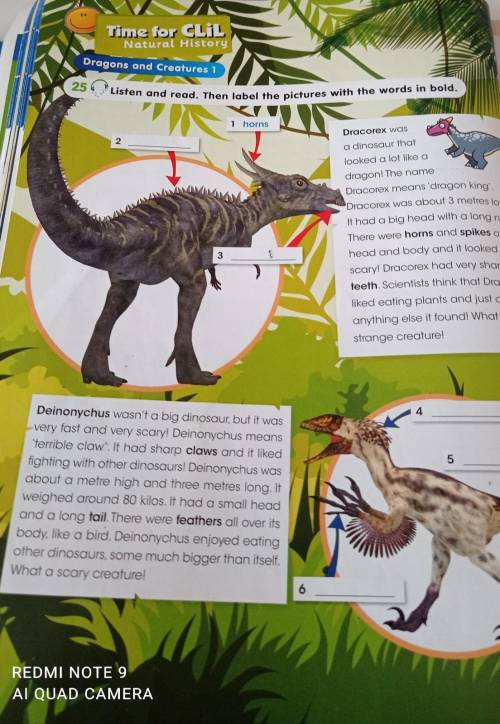 Natural History 26 Read andDragons and Creatures 125 Listen and read. Then label the pictures with t