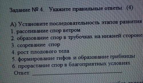 Установите последовательность этапов развития белого гриба​