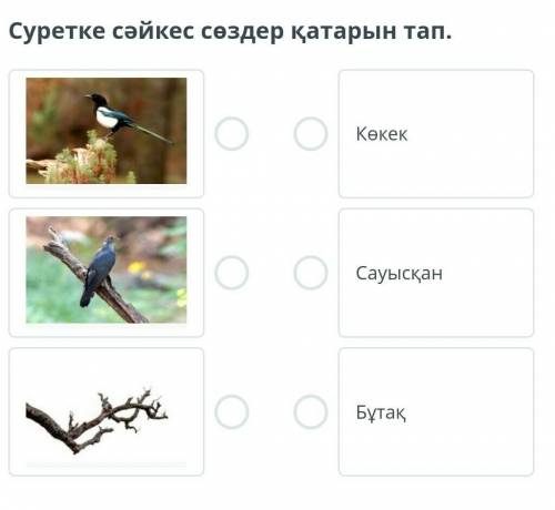 Суретке сәйкес сөздер қатарын тап.СауысқанКөкекБұтақ​