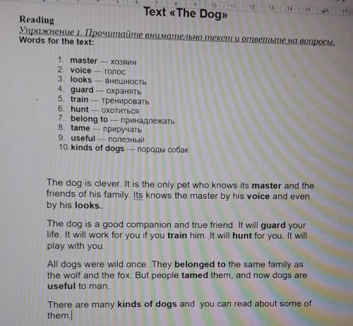 Answer the questions to the text: 1. Why do people think that the dog is clever?2. What can a dog do