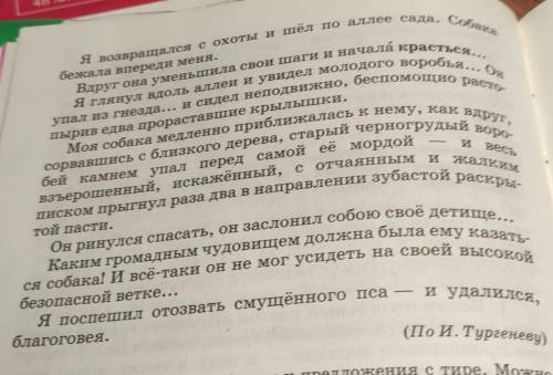 Там надо подчеркнуть грамматические основы и подписать чем выражено сказуемое​