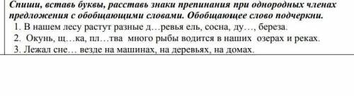 Спишите вставьте все буквы и вставьте знаки припенания