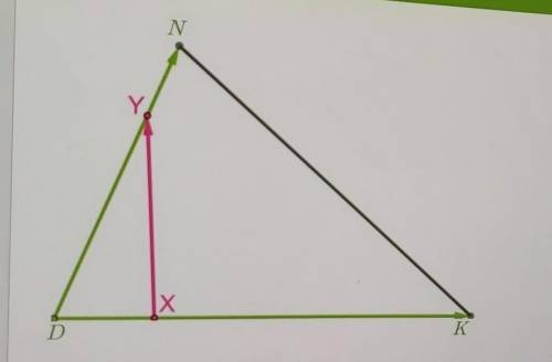 Точка x делит сторону KD в отношении KX:XD= 2:1 , точка Y делит сторону DN в отношении DY:YN= 2:1 Ра