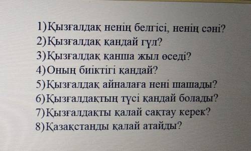 Тема тюльпанов по казахскому языку ..ответить на вопросы​