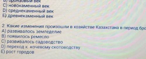 Какие изменения произошли в хозяйстве Казахстана в период бронзового века​